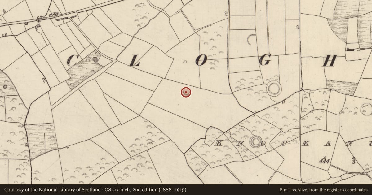 Ordnance Survey six-inch map, 2nd edition (1888–1915) covering the location of Ringfort - rath, Knockanush West, County Kerry, with a pin at the register's coordinates
