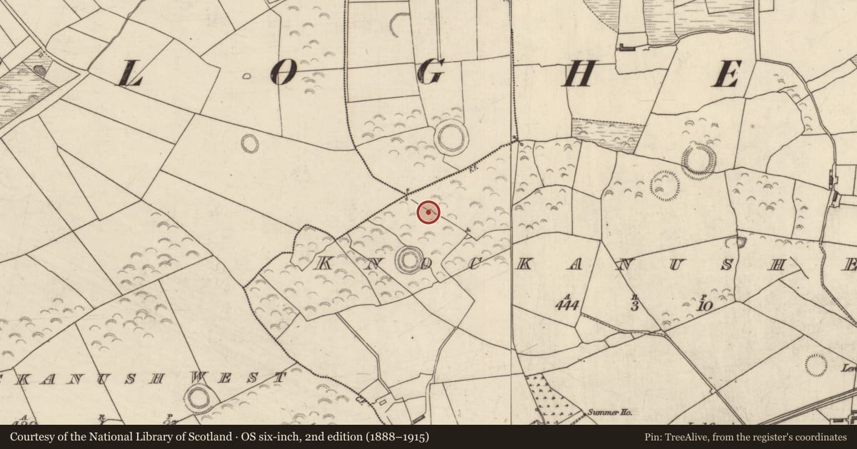 Ordnance Survey six-inch map, 2nd edition (1888–1915) covering the location of Field system, County Kerry, with a pin at the register's coordinates