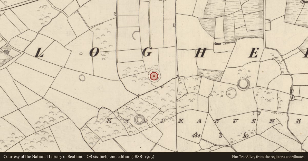 Ordnance Survey six-inch map, 2nd edition (1888–1915) covering the location of Ringfort - rath, Slievenavadoge, County Kerry, with a pin at the register's coordinates