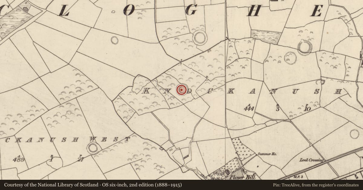Ordnance Survey six-inch map, 2nd edition (1888–1915) covering the location of Ringfort - rath, Knockanush East, County Kerry, with a pin at the register's coordinates