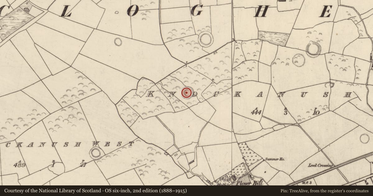 Ordnance Survey six-inch map, 2nd edition (1888–1915) covering the location of Souterrain, Knockanush East, County Kerry, with a pin at the register's coordinates