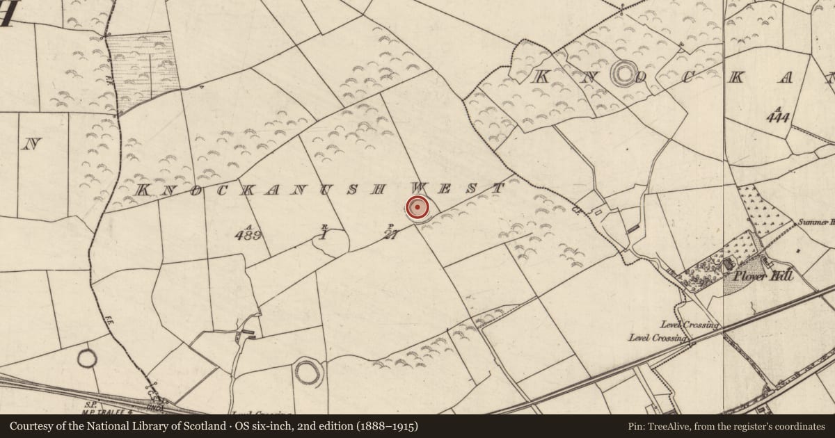 Ordnance Survey six-inch map, 2nd edition (1888–1915) covering the location of Ringfort - rath, Knockanush West, County Kerry, with a pin at the register's coordinates