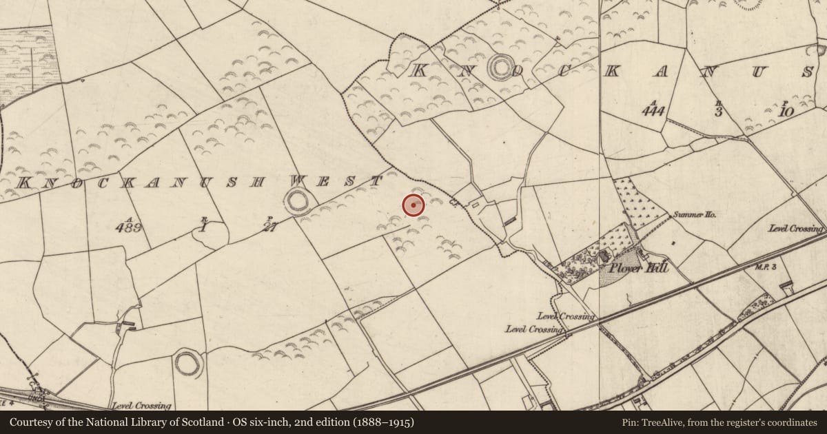 Ordnance Survey six-inch map, 2nd edition (1888–1915) covering the location of Enclosure, Knockanush West, County Kerry, with a pin at the register's coordinates