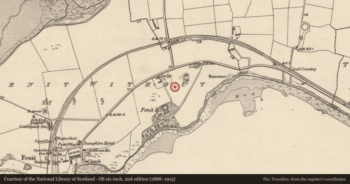 Ordnance Survey six-inch map, 2nd edition (1888–1915) covering the location of Enclosure, Fenit Without, County Kerry, with a pin at the register's coordinates