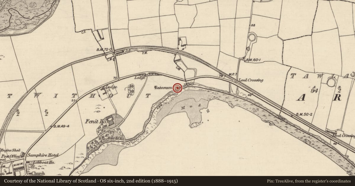 Ordnance Survey six-inch map, 2nd edition (1888–1915) covering the location of Ringfort - rath, Fenit Without, County Kerry, with a pin at the register's coordinates