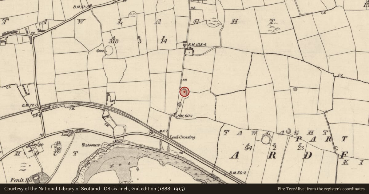 Ordnance Survey six-inch map, 2nd edition (1888–1915) covering the location of Ringfort - rath, Tawlaght (Trughanacmy By., Ballynahaglish Par.), County Kerry, with a pin at the register's coordinates