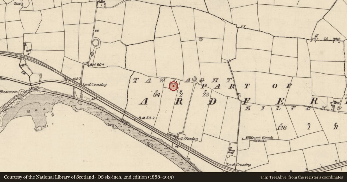 Ordnance Survey six-inch map, 2nd edition (1888–1915) covering the location of Ringfort - rath, Tawlaght (Trughanacmy By., Ardfert Par.), County Kerry, with a pin at the register's coordinates