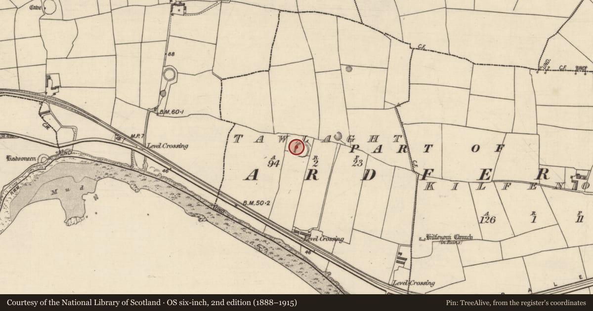Ordnance Survey six-inch map, 2nd edition (1888–1915) covering the location of Souterrain, Tawlaght (Trughanacmy By., Ardfert Par.), County Kerry, with a pin at the register's coordinates