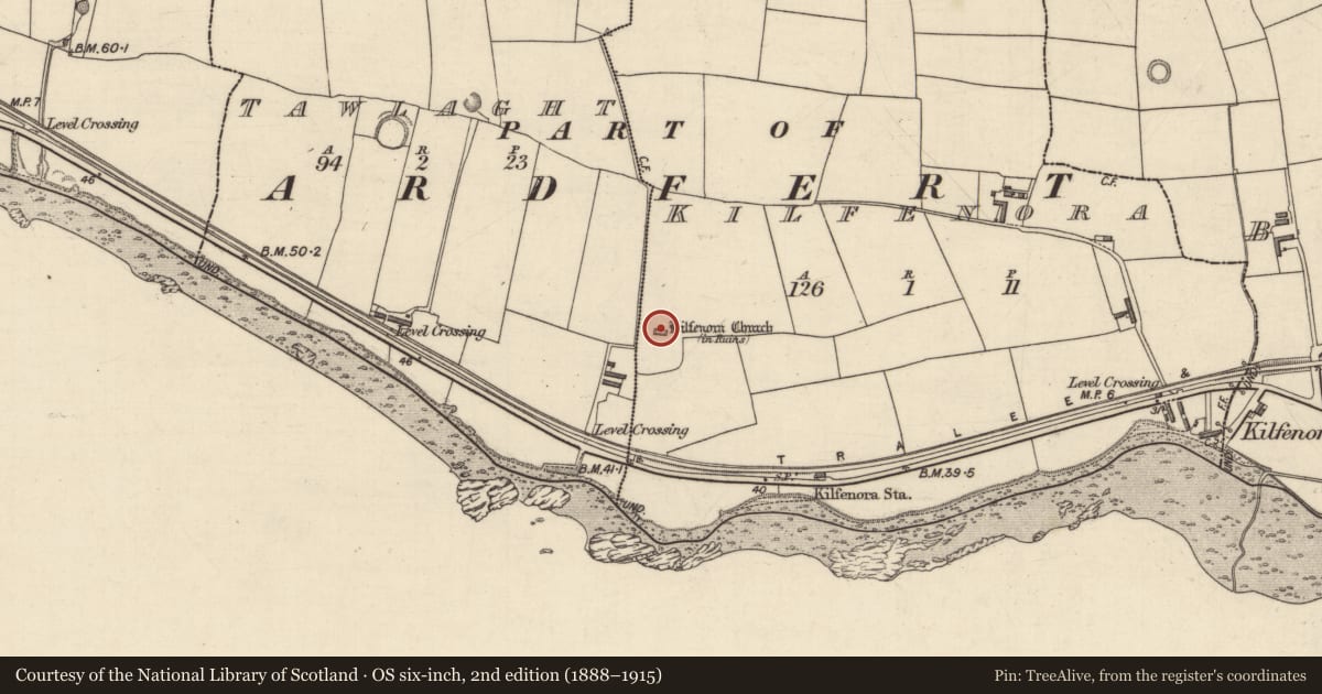 Ordnance Survey six-inch map, 2nd edition (1888–1915) covering the location of Church, Kilfenora, County Kerry, with a pin at the register's coordinates