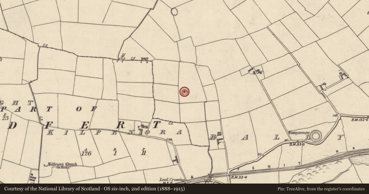 Ordnance Survey six-inch map, 2nd edition (1888–1915) covering the location of Ringfort - rath, Ballymakegoge, County Kerry, with a pin at the register's coordinates
