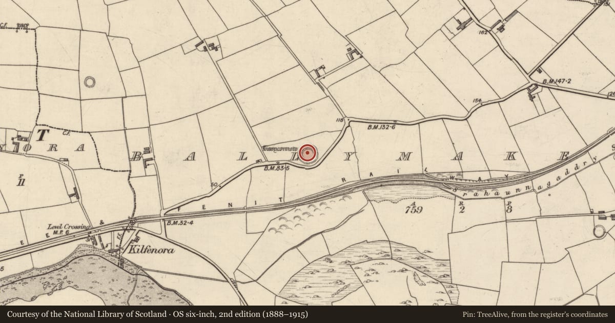 Ordnance Survey six-inch map, 2nd edition (1888–1915) covering the location of Ringfort - rath, Ballymakegoge, County Kerry, with a pin at the register's coordinates