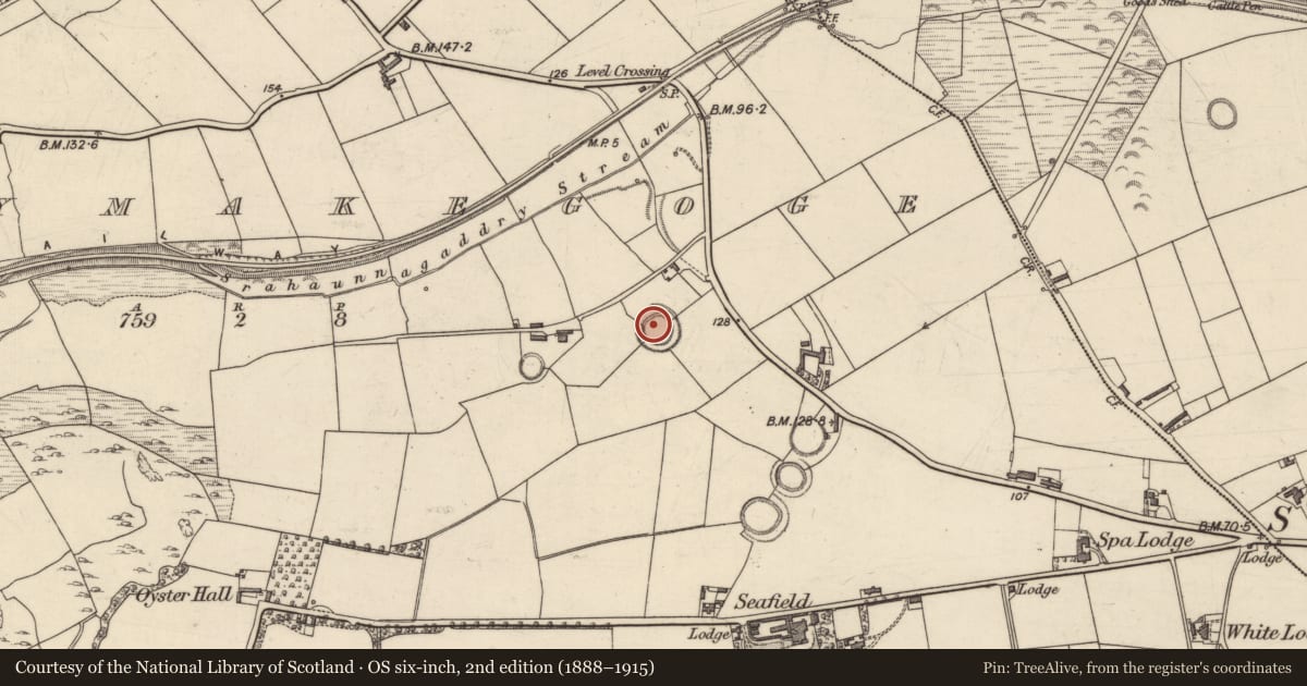 Ordnance Survey six-inch map, 2nd edition (1888–1915) covering the location of Ringfort - rath, Ballymakegoge, County Kerry, with a pin at the register's coordinates