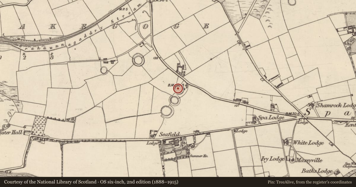 Ordnance Survey six-inch map, 2nd edition (1888–1915) covering the location of Souterrain, Ballymakegoge, County Kerry, with a pin at the register's coordinates