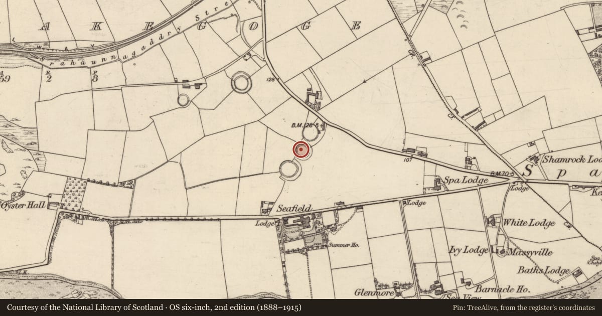 Ordnance Survey six-inch map, 2nd edition (1888–1915) covering the location of Souterrain, Ballymakegoge, County Kerry, with a pin at the register's coordinates
