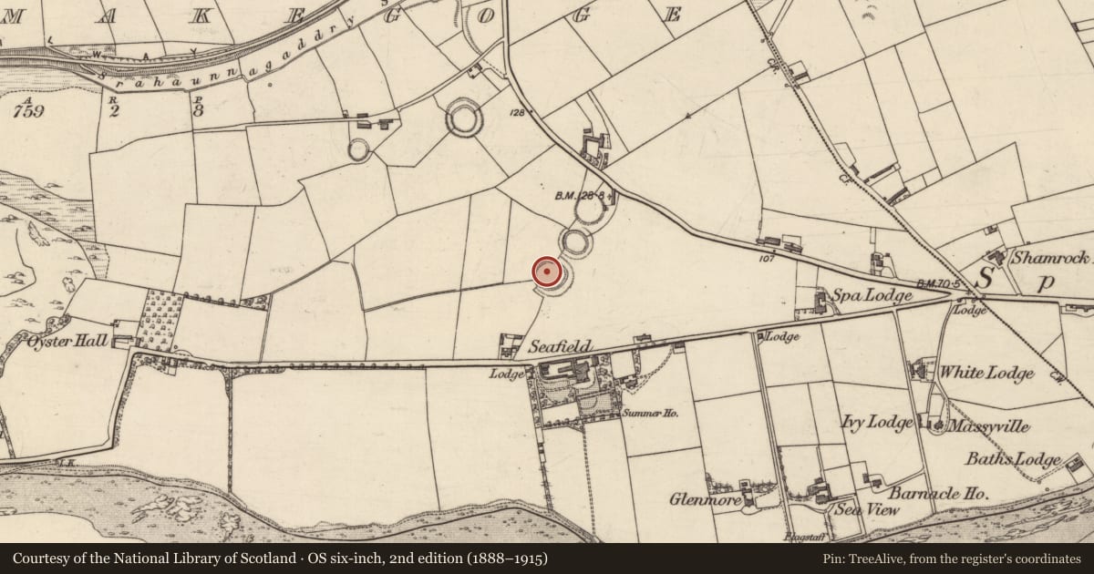 Ordnance Survey six-inch map, 2nd edition (1888–1915) covering the location of Souterrain, Ballymakegoge, County Kerry, with a pin at the register's coordinates