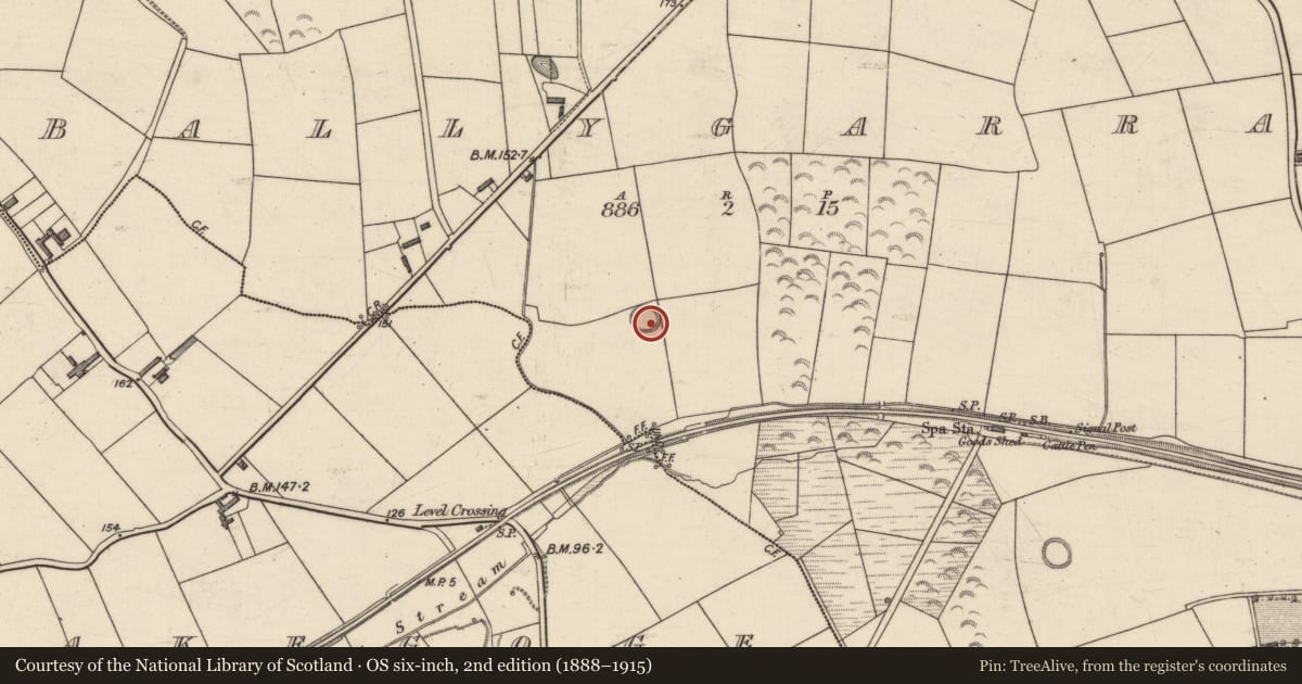 Ordnance Survey six-inch map, 2nd edition (1888–1915) covering the location of Souterrain, Ballygarran, County Kerry, with a pin at the register's coordinates