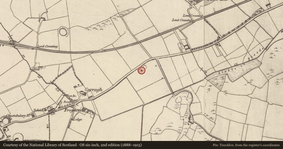 Ordnance Survey six-inch map, 2nd edition (1888–1915) covering the location of Brickworks, Knockanush West, County Kerry, with a pin at the register's coordinates