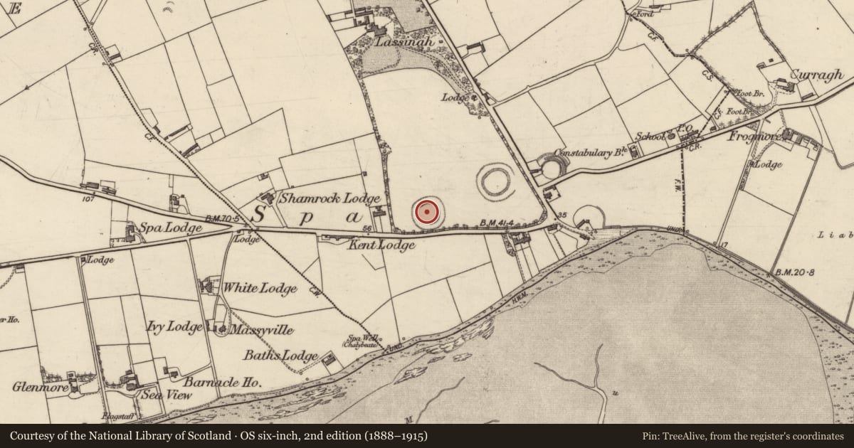 Ordnance Survey six-inch map, 2nd edition (1888–1915) covering the location of Souterrain, Ballygarran, County Kerry, with a pin at the register's coordinates