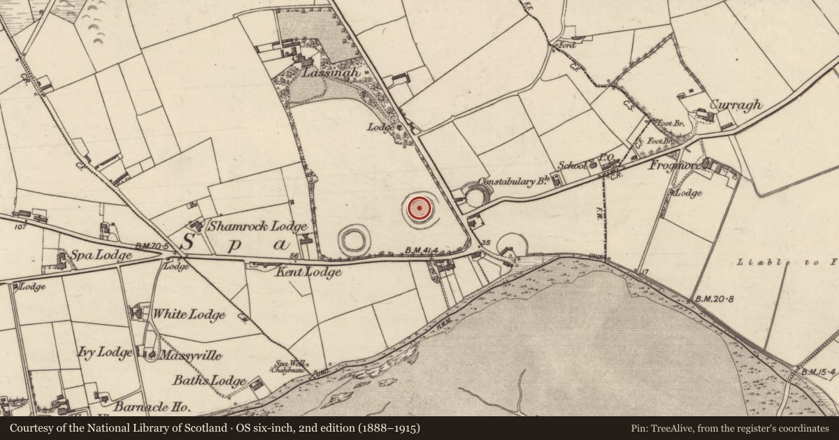 Ordnance Survey six-inch map, 2nd edition (1888–1915) covering the location of Souterrain, Ballygarran, County Kerry, with a pin at the register's coordinates