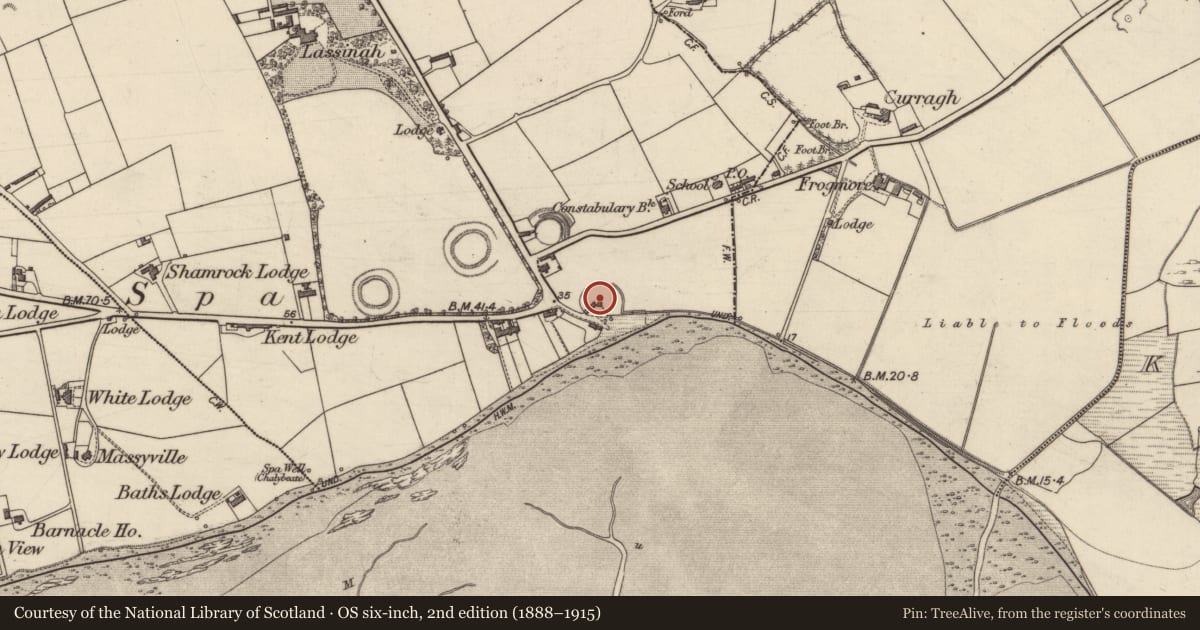Ordnance Survey six-inch map, 2nd edition (1888–1915) covering the location of Ringfort - rath, Ballygarran, County Kerry, with a pin at the register's coordinates