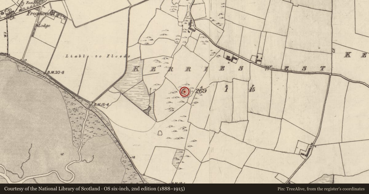 Ordnance Survey six-inch map, 2nd edition (1888–1915) covering the location of Souterrain, Kerries West, County Kerry, with a pin at the register's coordinates