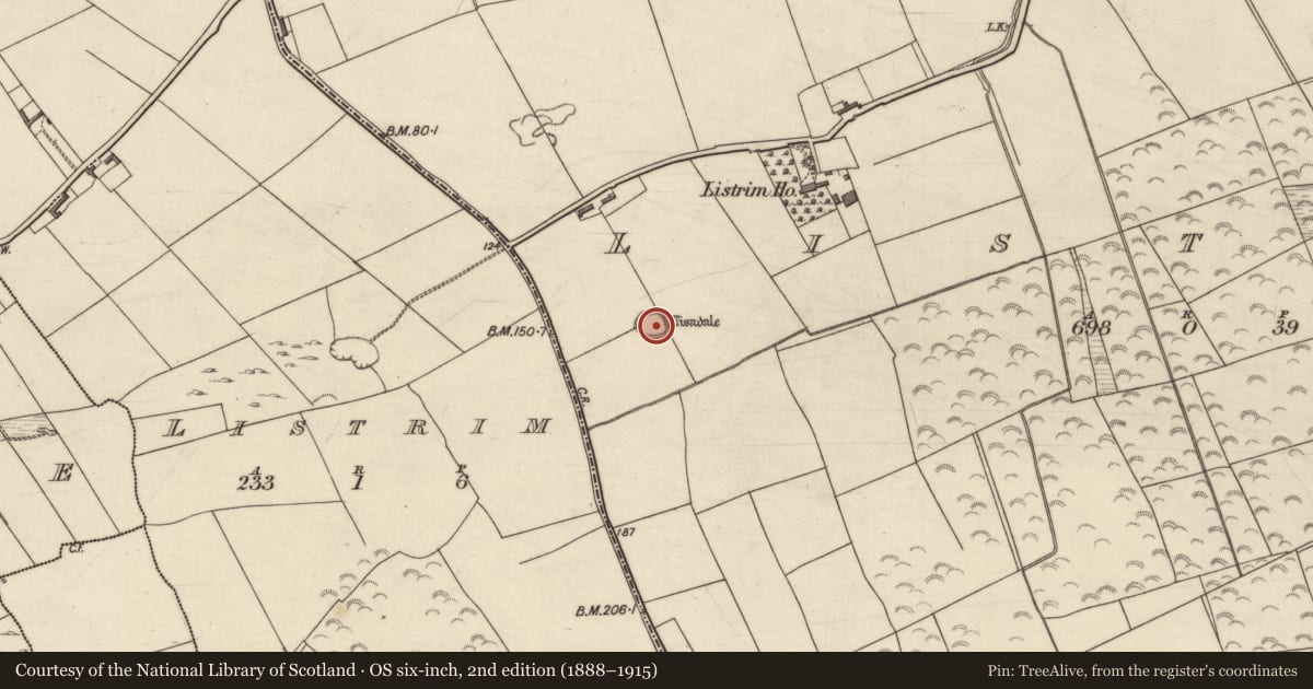 Ordnance Survey six-inch map, 2nd edition (1888–1915) covering the location of Ringfort - rath, Listrim, County Kerry, with a pin at the register's coordinates