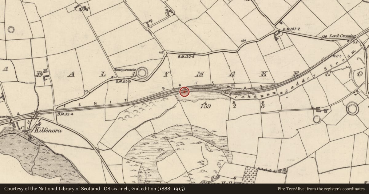 Ordnance Survey six-inch map, 2nd edition (1888–1915) covering the location of Ritual site - holy well, Ballymakegoge, County Kerry, with a pin at the register's coordinates