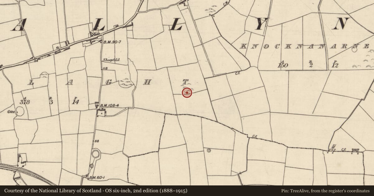 Ordnance Survey six-inch map, 2nd edition (1888–1915) covering the location of Ringfort - rath, Tawlaght (Trughanacmy By., Ballynahaglish Par.), County Kerry, with a pin at the register's coordinates