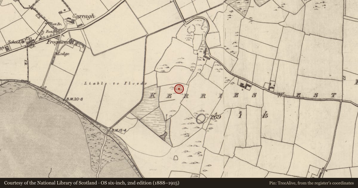 Ordnance Survey six-inch map, 2nd edition (1888–1915) covering the location of Field system, Kerries West, County Kerry, with a pin at the register's coordinates