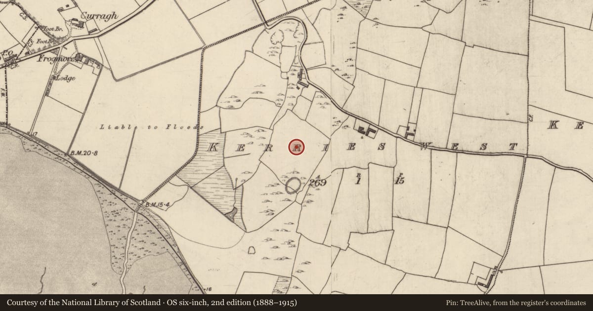 Ordnance Survey six-inch map, 2nd edition (1888–1915) covering the location of Enclosure, Kerries West, County Kerry, with a pin at the register's coordinates
