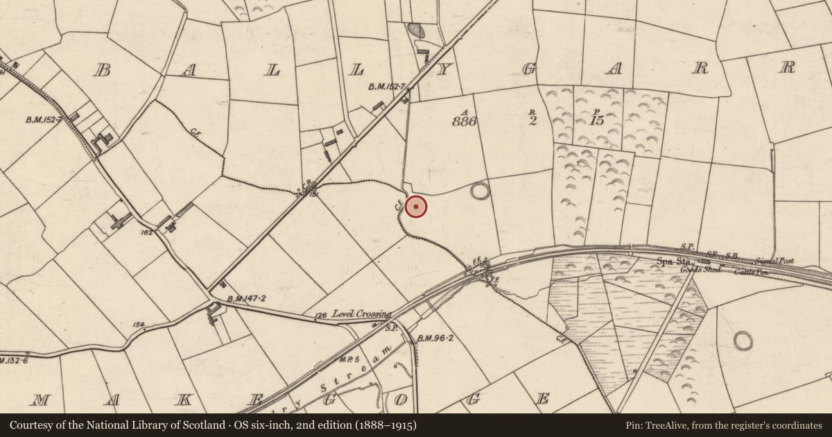 Ordnance Survey six-inch map, 2nd edition (1888–1915) covering the location of Earthwork, Ballygarran, County Kerry, with a pin at the register's coordinates