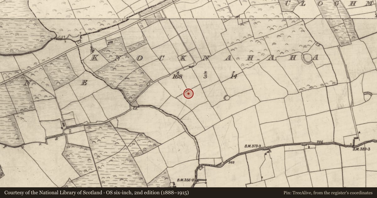 Ordnance Survey six-inch map, 2nd edition (1888–1915) covering the location of Enclosure, Knocknahaha, County Kerry, with a pin at the register's coordinates