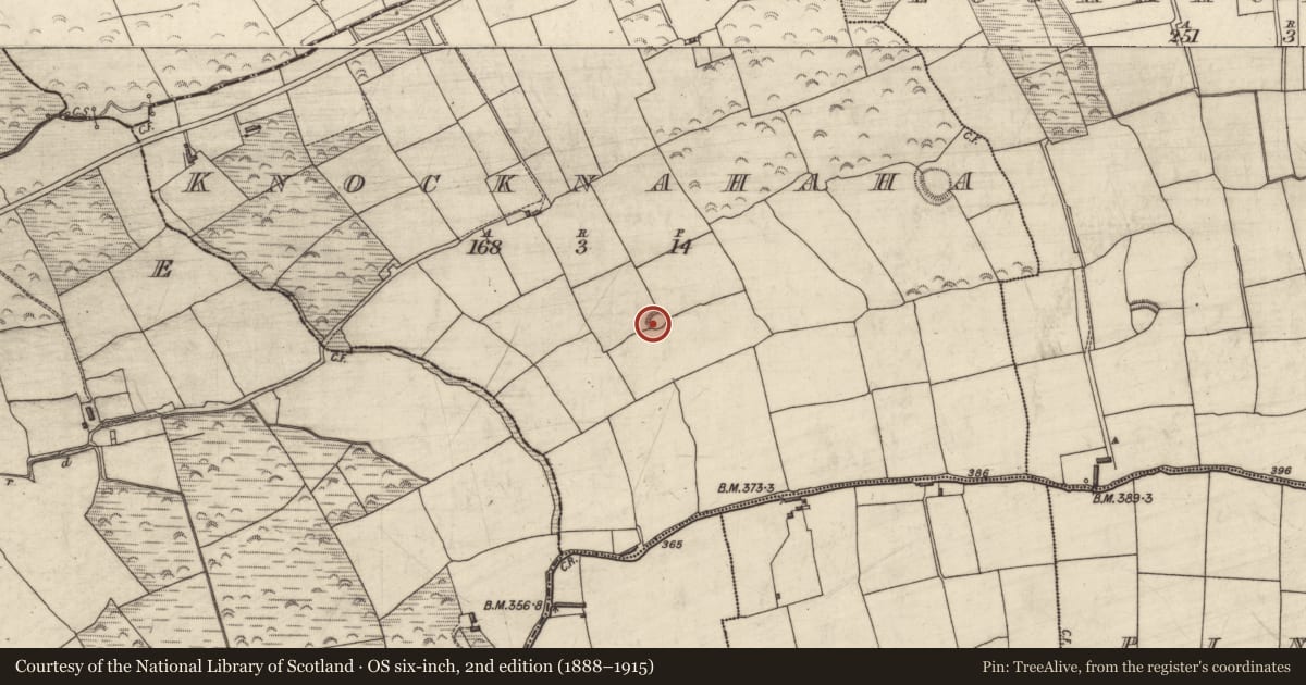 Ordnance Survey six-inch map, 2nd edition (1888–1915) covering the location of Ringfort - rath, Knocknahaha, County Kerry, with a pin at the register's coordinates