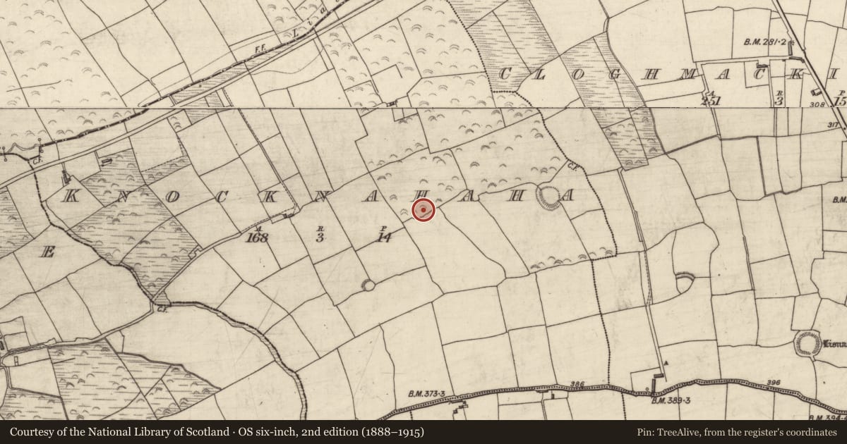 Ordnance Survey six-inch map, 2nd edition (1888–1915) covering the location of Ringfort - rath, Knocknahaha, County Kerry, with a pin at the register's coordinates