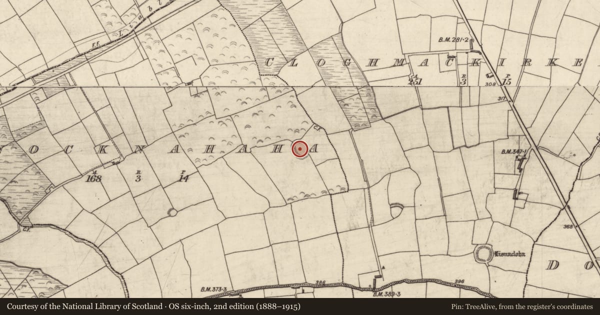 Ordnance Survey six-inch map, 2nd edition (1888–1915) covering the location of Ringfort - rath, Knocknahaha, County Kerry, with a pin at the register's coordinates