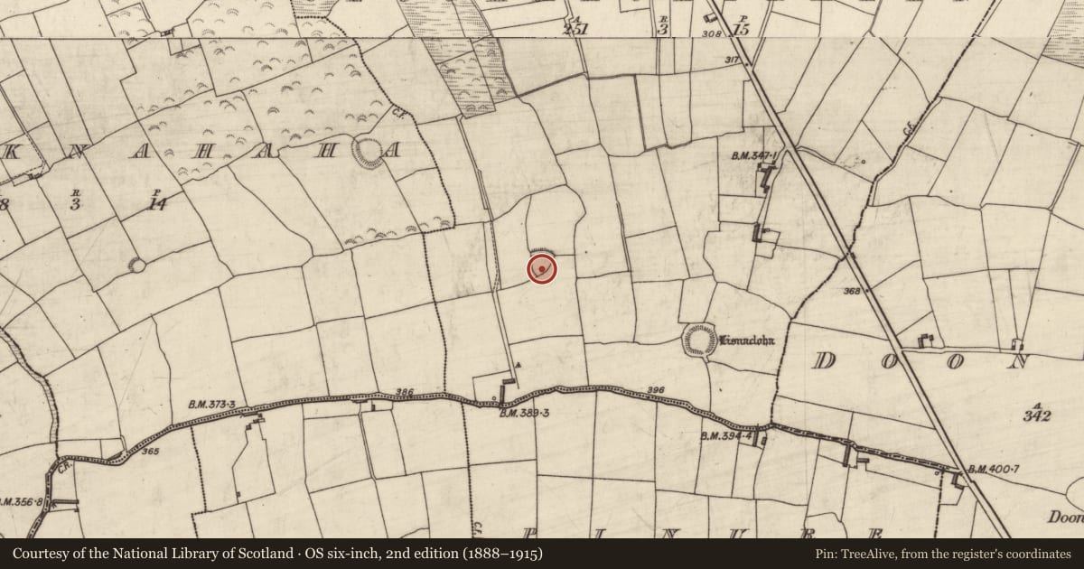 Ordnance Survey six-inch map, 2nd edition (1888–1915) covering the location of Ringfort - rath, Cloghmackirkeen, County Kerry, with a pin at the register's coordinates