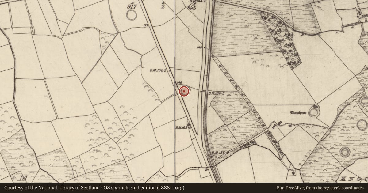 Ordnance Survey six-inch map, 2nd edition (1888–1915) covering the location of Ringfort - rath, Liscahane, County Kerry, with a pin at the register's coordinates
