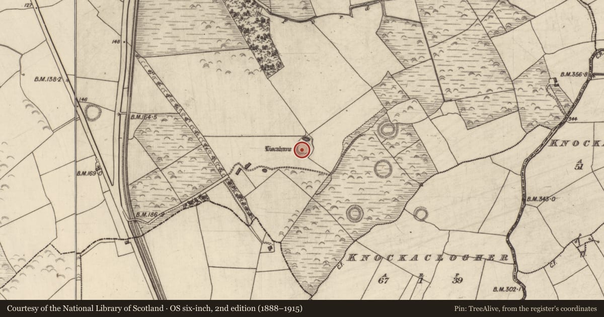 Ordnance Survey six-inch map, 2nd edition (1888–1915) covering the location of Ringfort - rath, Liscahane, County Kerry, with a pin at the register's coordinates