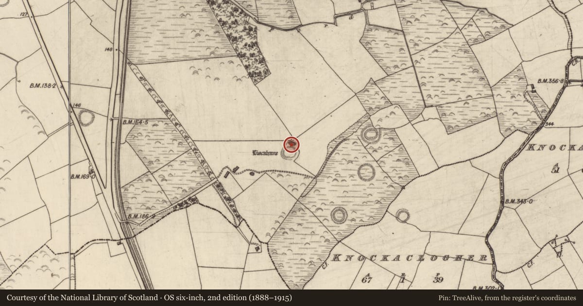 Ordnance Survey six-inch map, 2nd edition (1888–1915) covering the location of Castle - unclassified, Liscahane, County Kerry, with a pin at the register's coordinates