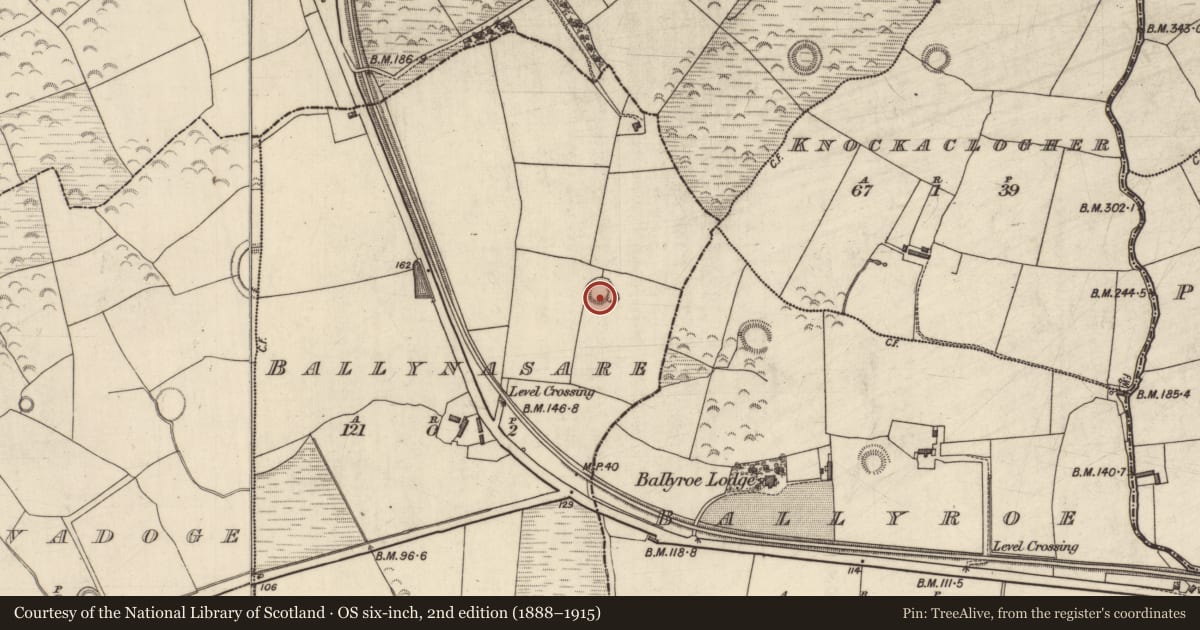 Ordnance Survey six-inch map, 2nd edition (1888–1915) covering the location of Ringfort - rath, Ballynasare, County Kerry, with a pin at the register's coordinates