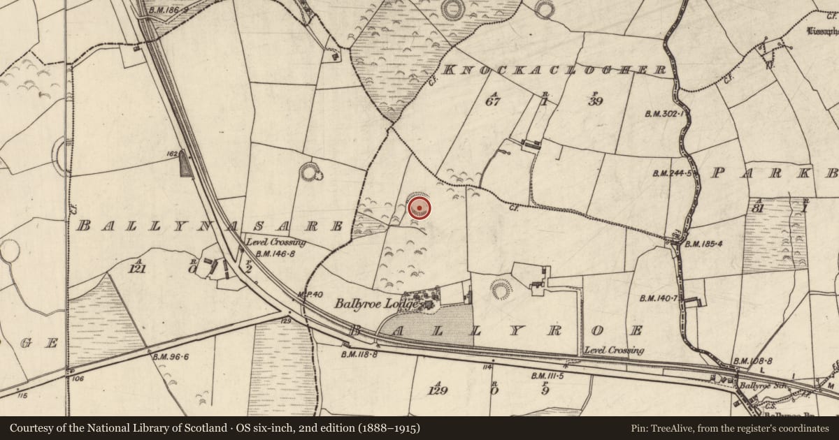 Ordnance Survey six-inch map, 2nd edition (1888–1915) covering the location of Ringfort - rath, Ballyroe, County Kerry, with a pin at the register's coordinates