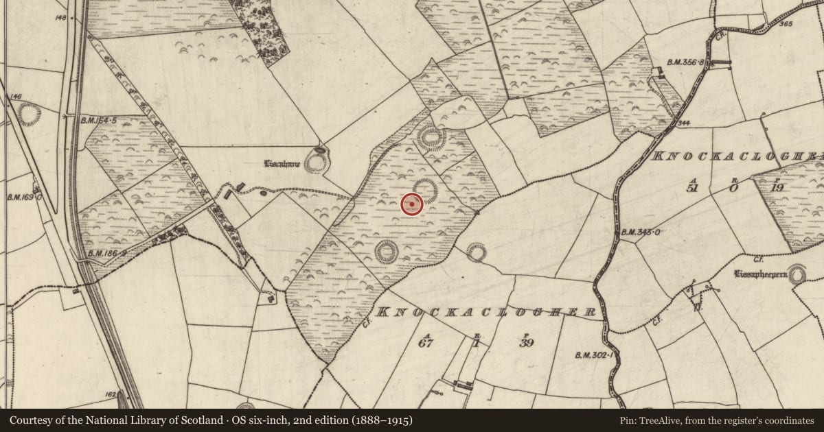 Ordnance Survey six-inch map, 2nd edition (1888–1915) covering the location of Field system, Liscahane, County Kerry, with a pin at the register's coordinates