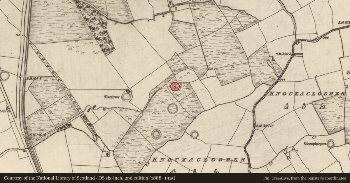 Ordnance Survey six-inch map, 2nd edition (1888–1915) covering the location of Ringfort - rath, Liscahane, County Kerry, with a pin at the register's coordinates