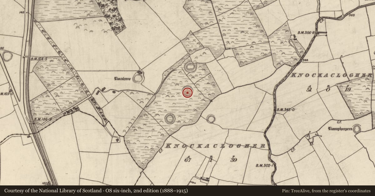 Ordnance Survey six-inch map, 2nd edition (1888–1915) covering the location of Ringfort - rath, Liscahane, County Kerry, with a pin at the register's coordinates