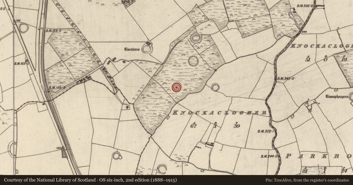 Ordnance Survey six-inch map, 2nd edition (1888–1915) covering the location of Ringfort - rath, Liscahane, County Kerry, with a pin at the register's coordinates