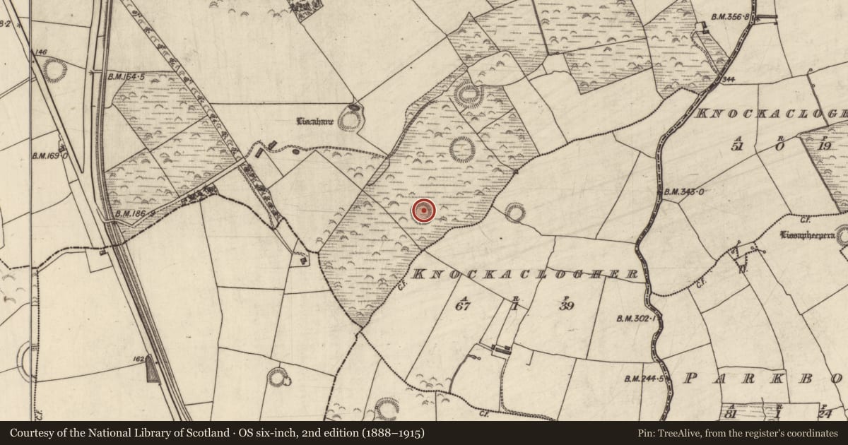 Ordnance Survey six-inch map, 2nd edition (1888–1915) covering the location of Souterrain, Liscahane, County Kerry, with a pin at the register's coordinates