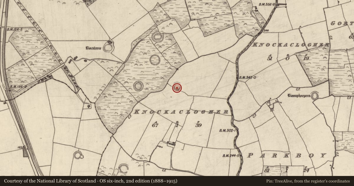 Ordnance Survey six-inch map, 2nd edition (1888–1915) covering the location of Ringfort - rath, Knockaclogher (Trughanacmy By., Ardfert Par.), County Kerry, with a pin at the register's coordinates