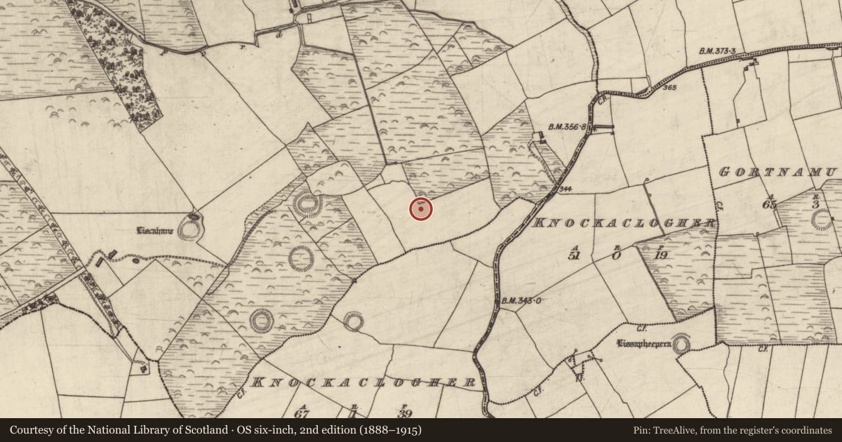 Ordnance Survey six-inch map, 2nd edition (1888–1915) covering the location of Fulacht fia, Liscahane, County Kerry, with a pin at the register's coordinates