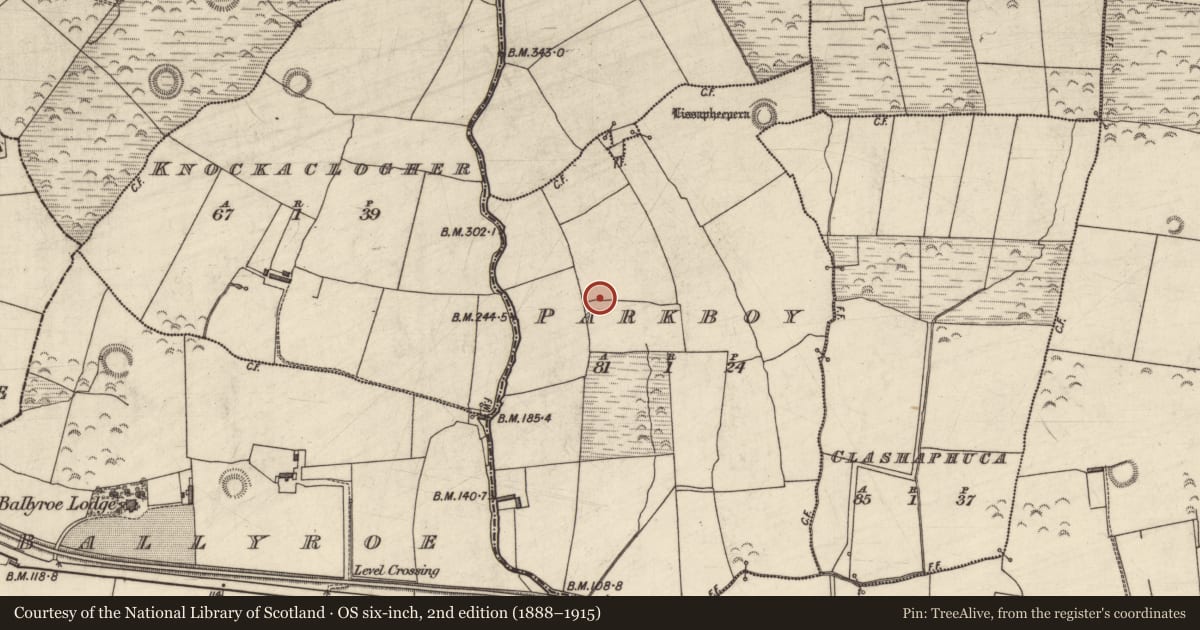Ordnance Survey six-inch map, 2nd edition (1888–1915) covering the location of Enclosure, Parkboy, County Kerry, with a pin at the register's coordinates