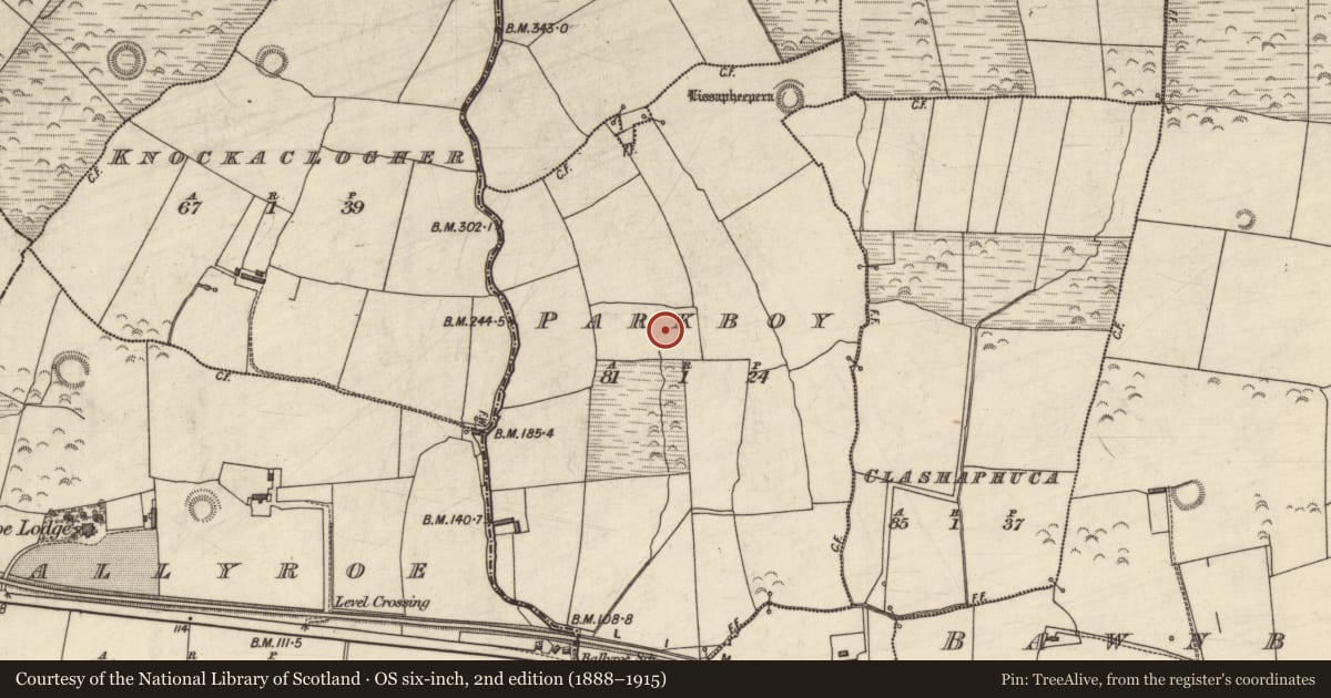 Ordnance Survey six-inch map, 2nd edition (1888–1915) covering the location of Fulacht fia, Parkboy, County Kerry, with a pin at the register's coordinates